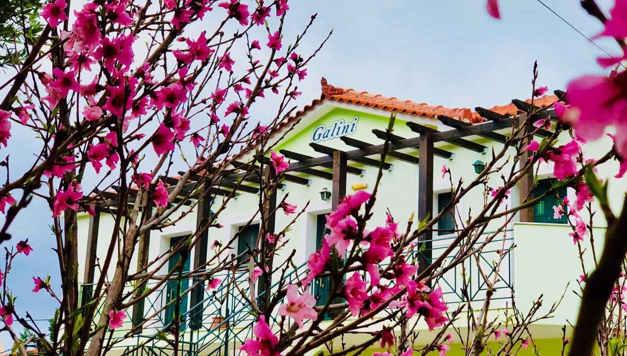 Galini Apartments Трапезаки Екстериор снимка