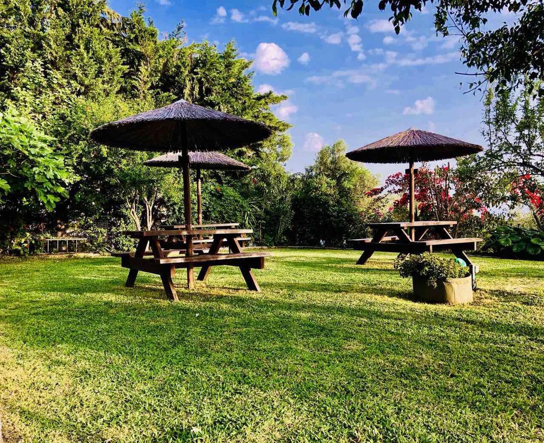 Galini Apartments Трапезаки Екстериор снимка